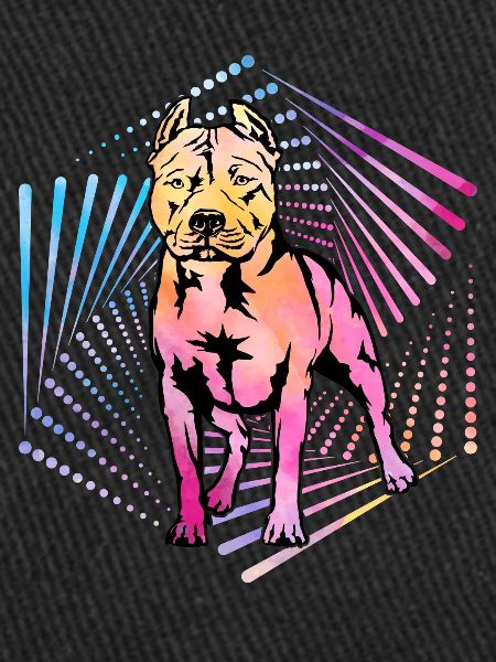 Pitbull Retro