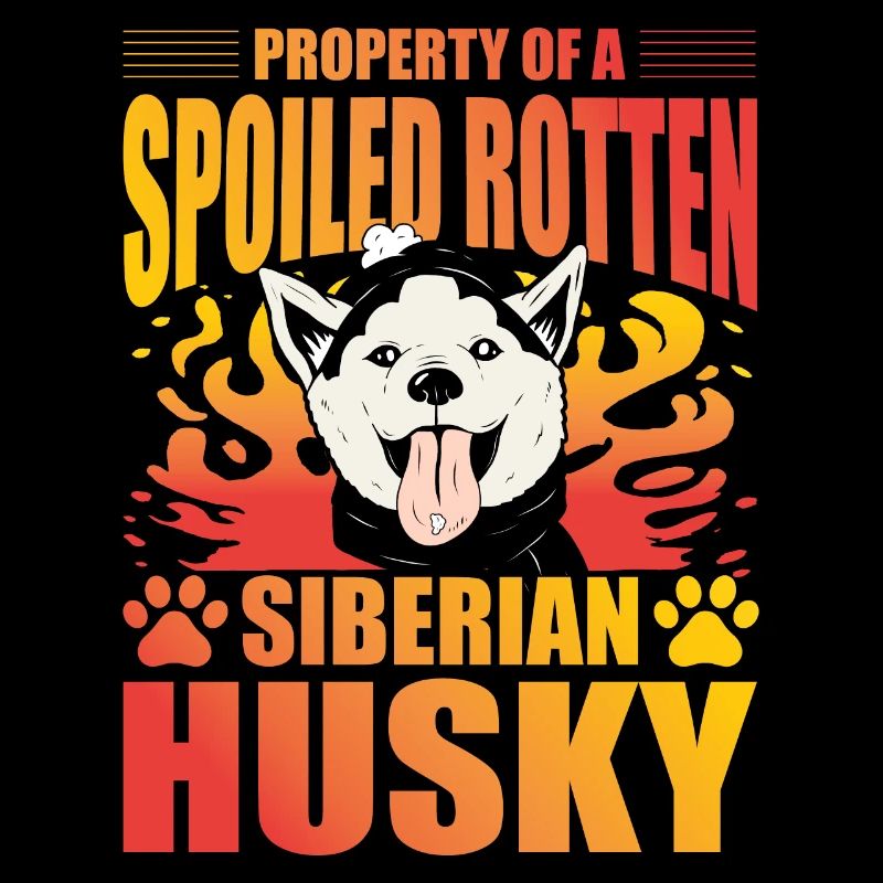 Propriété d’un husky sibérien pourri gâté