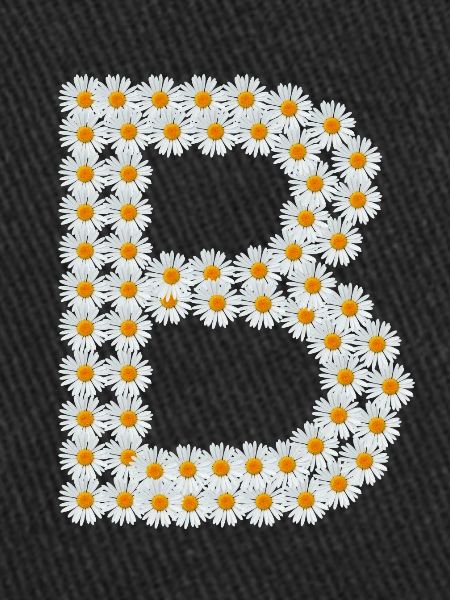 B de Margarites