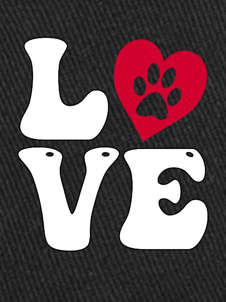 Labrador Love