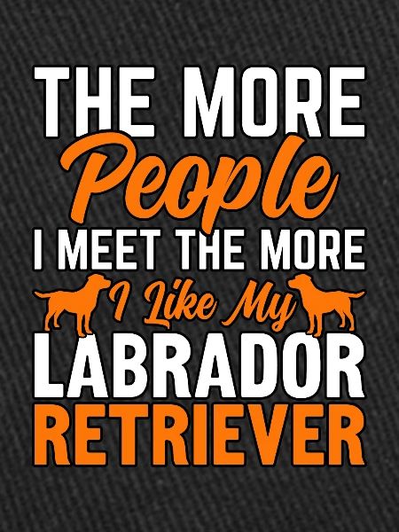 LABRADOR RETRIEVER
