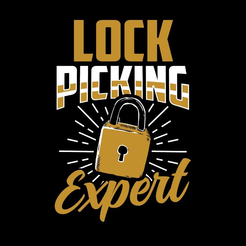 Lockpicking Expert Cracking Lock Lock Picking
