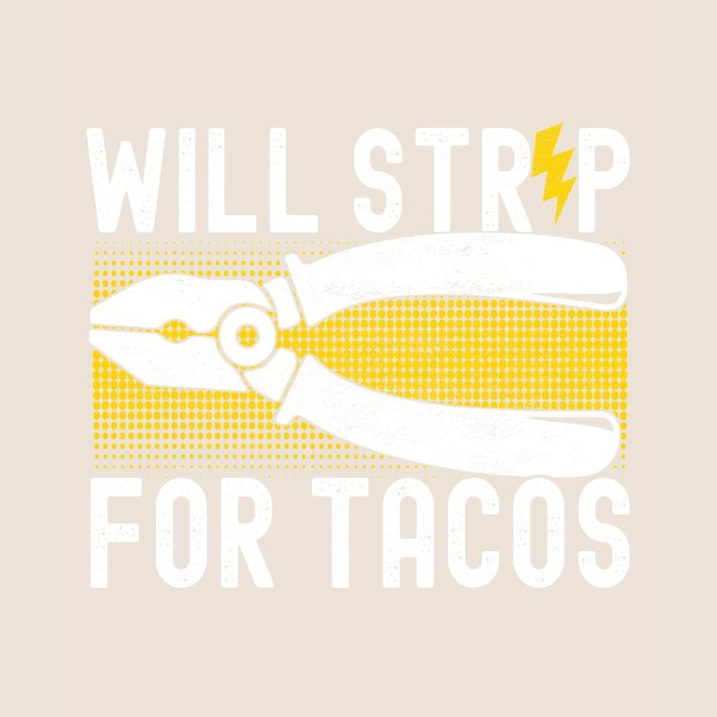 Electrician Electronics Technician