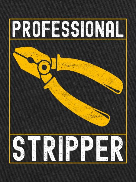 Electrician Electronics Technician