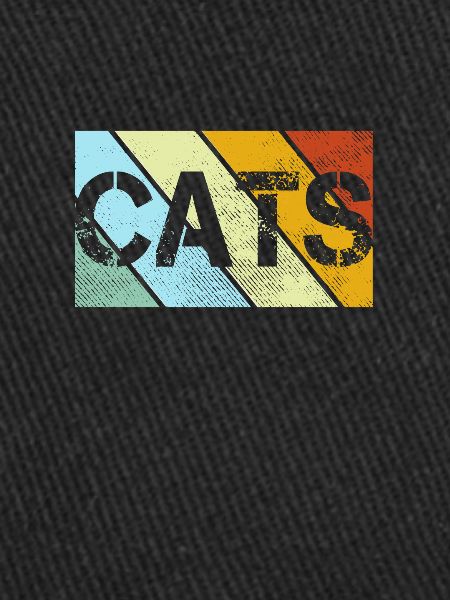 Chat Rétro
