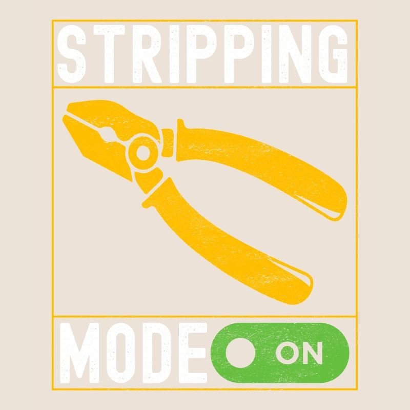 Electrician Electronics Technician