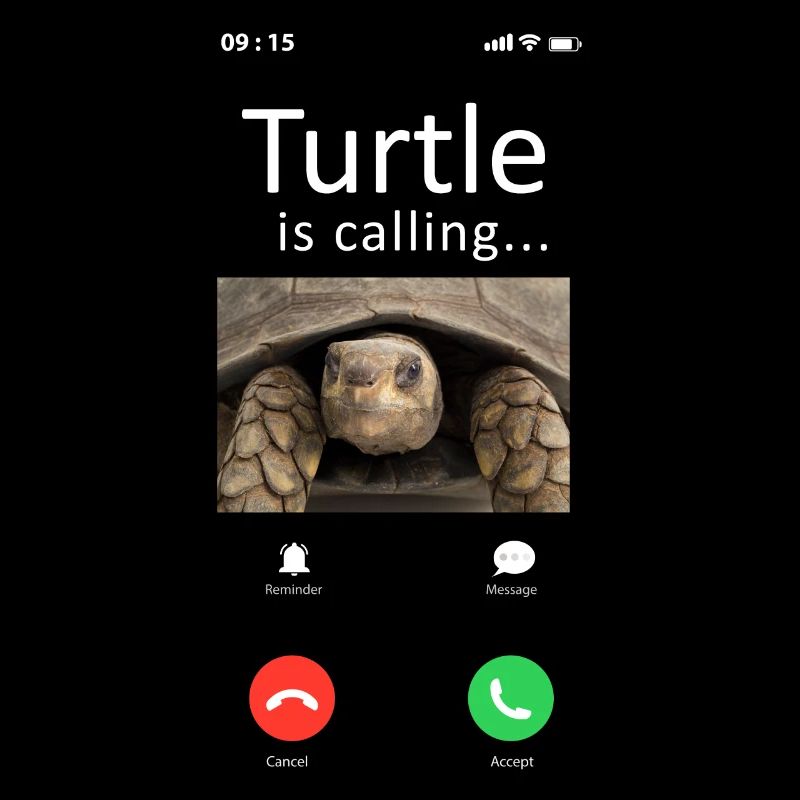 Sea Turtle Tortoise Phone Display