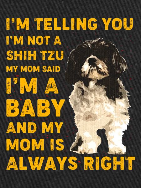Shih Tzu