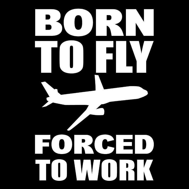 Born To Fly Forced To Walk Fluglehrer
