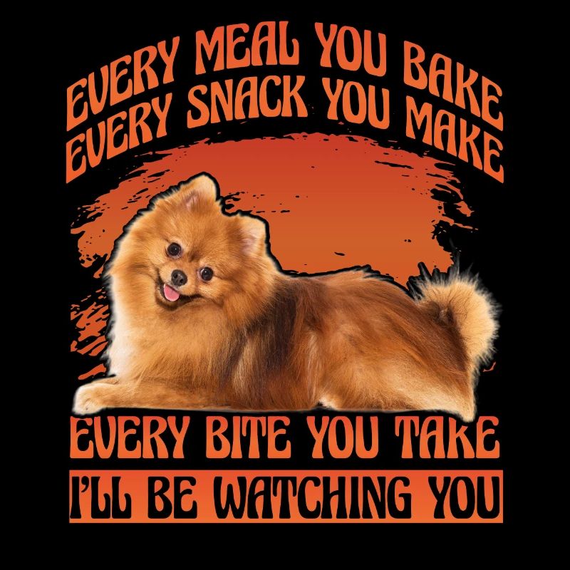 Pomeranian Zwergspitz