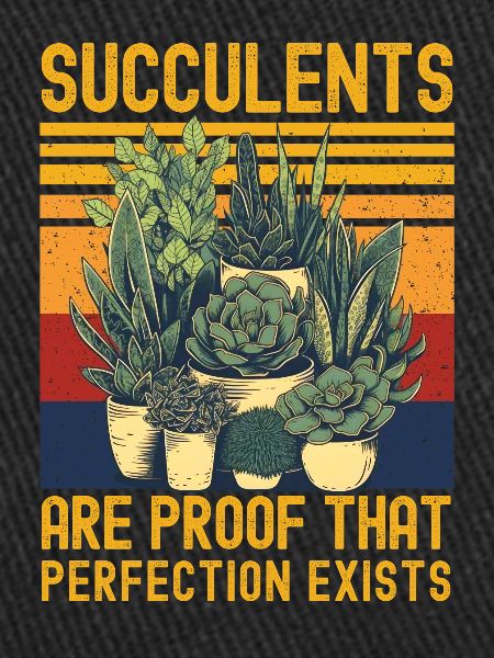 Succulentes drôle de dicton
