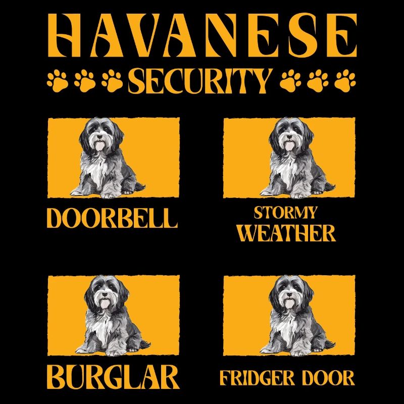 Sécurité du bichon havanais