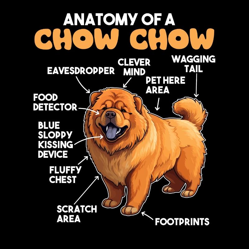 Explication du chien Anatomie d’un Chow Chow
