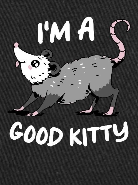 Opossum Possum Animal