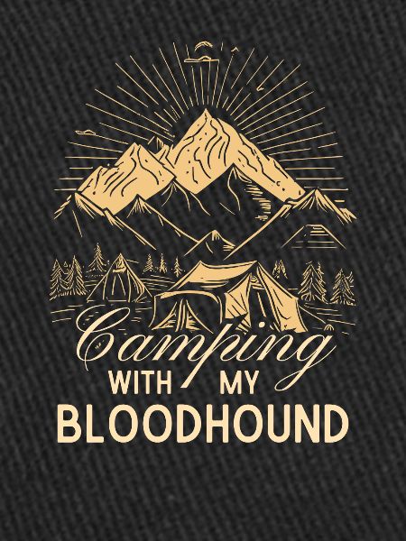 Camping de limier