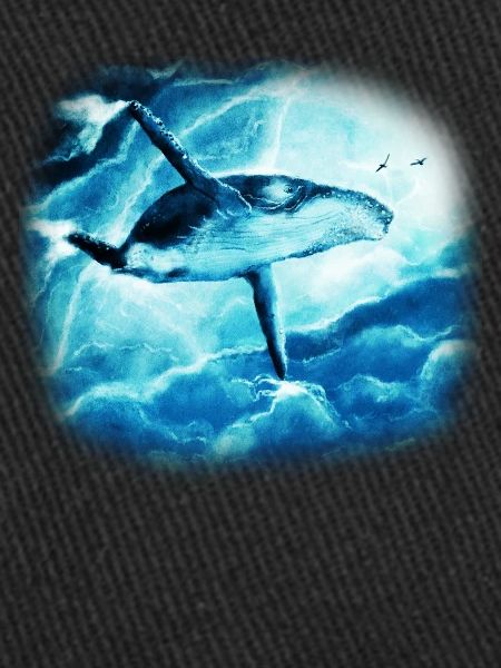 Baleine bleue