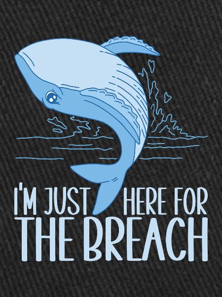 Baleines Baleine
