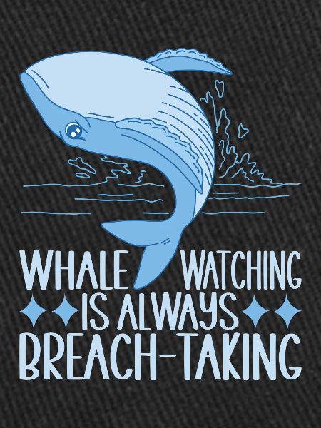 Baleines Baleine