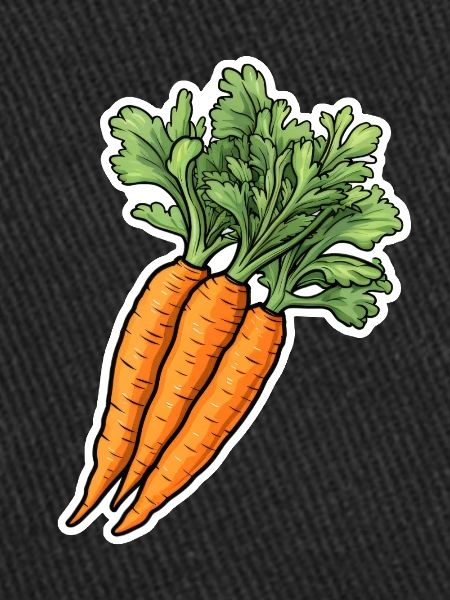 Carrot bunch