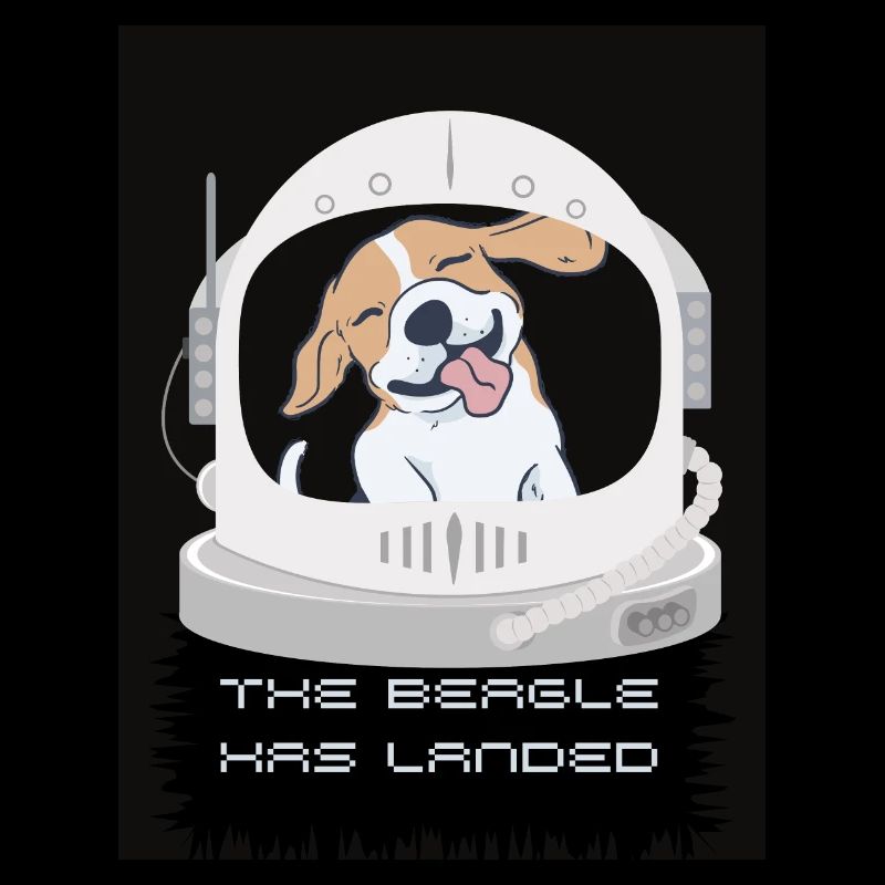 Le Beagle a atterri