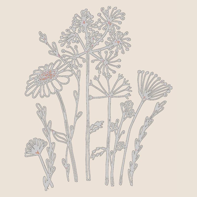Fleurs séchées