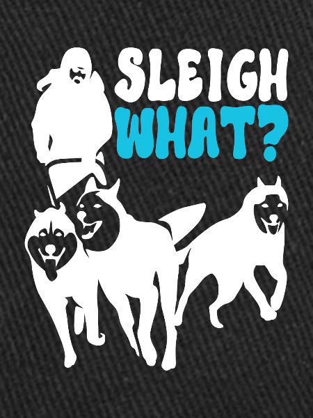 Sledding Sled dogs
