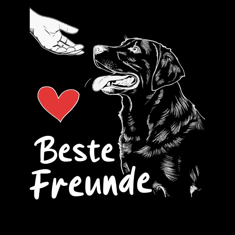 Labrador Chien Chiens