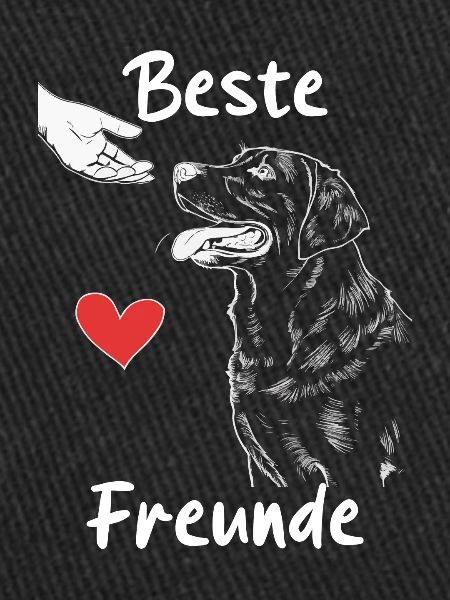 Labrador Chien Chiens