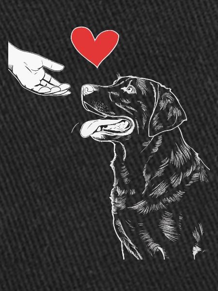 Labrador Chien Chiens