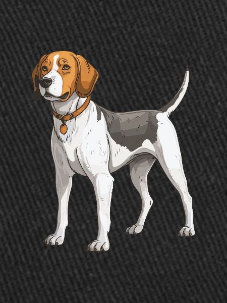 Beagle Chien Animal
