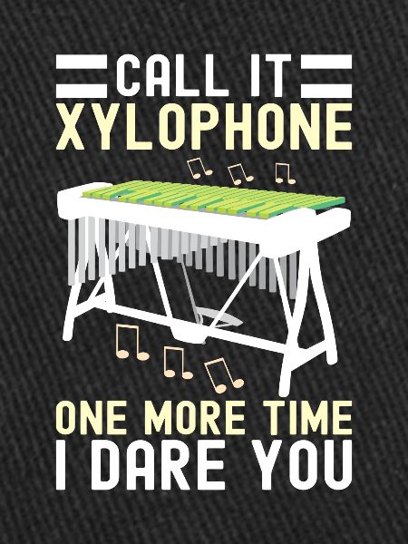 Vibraphon, vibraphoniste