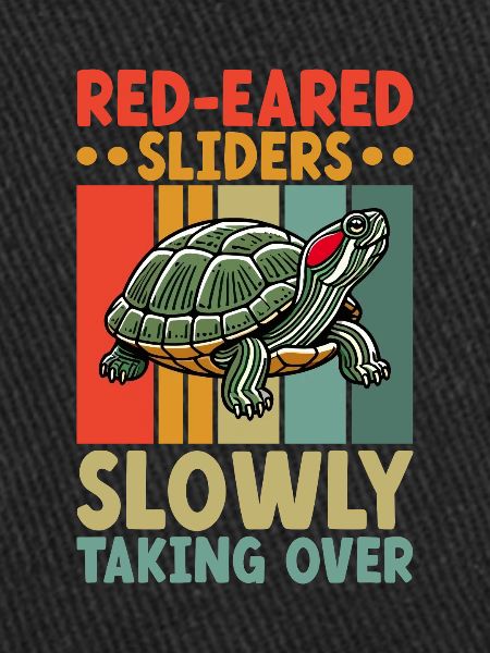 Turtle Red-eared Turtle