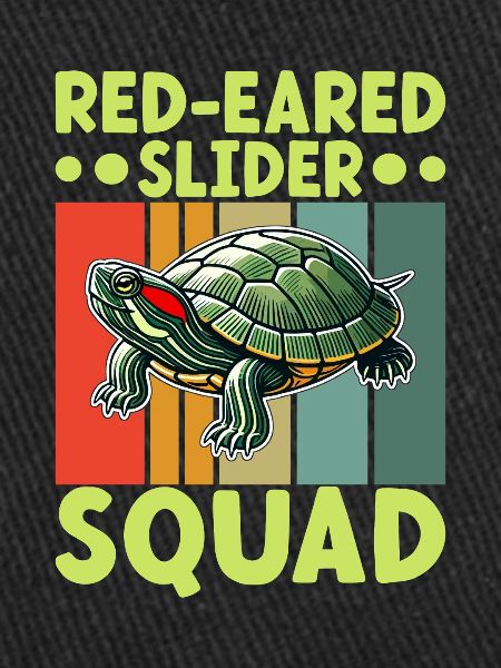 Turtle Red-eared Turtle
