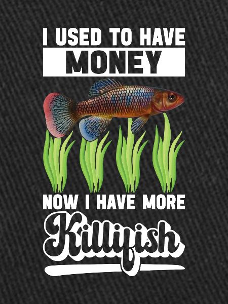 Killifish Quarium Fish