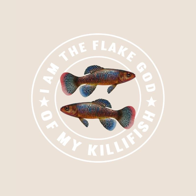 Killifish Quarium Fish