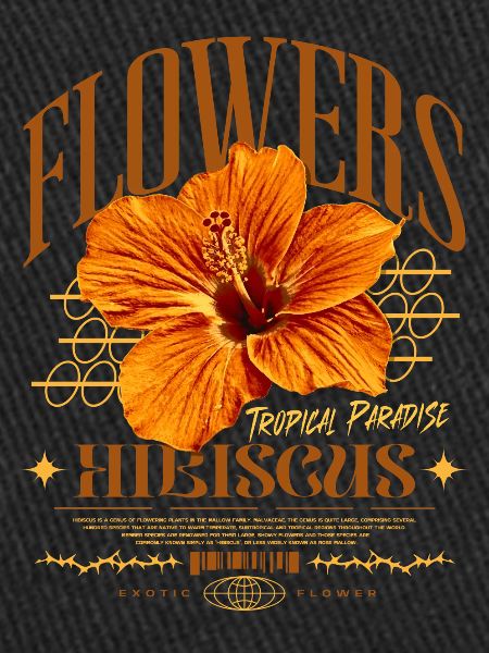 Fleur d’hibiscus Fleur d’hibiscus