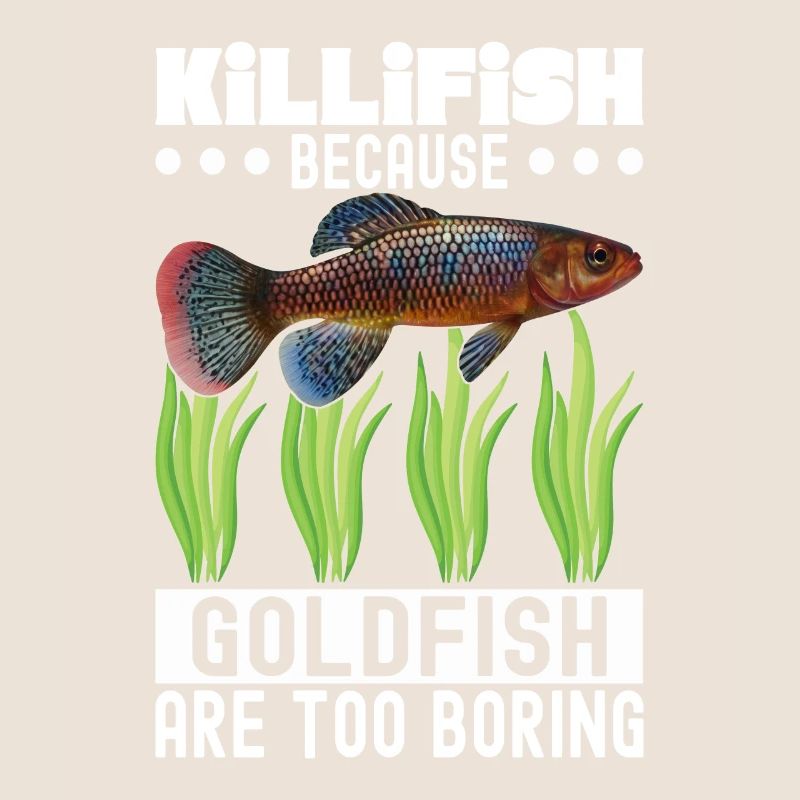 Killifish Quarium Fish