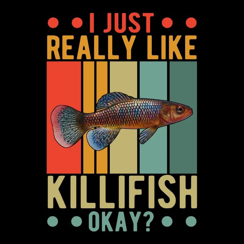 Killifish Quarium Fish