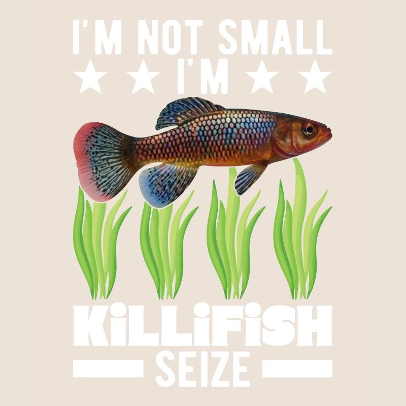 Killifish Quarium Fish