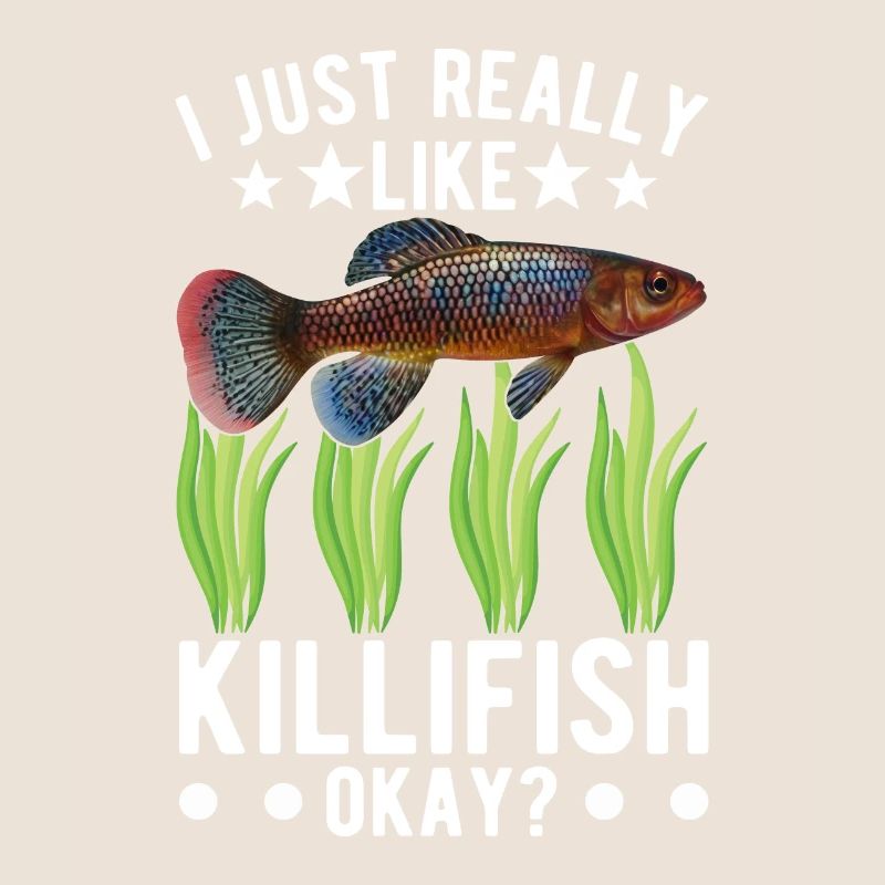 Killifish Quarium Fish