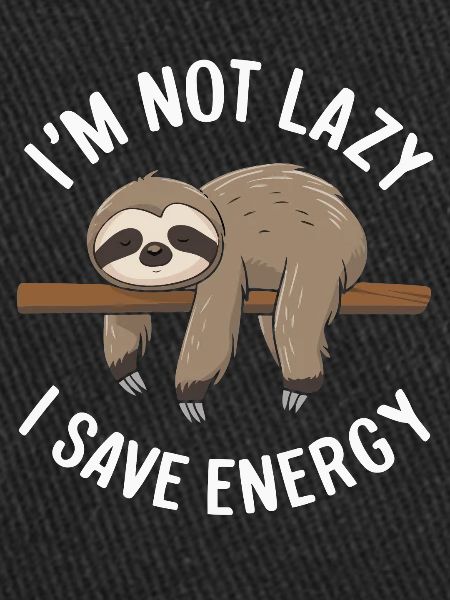 Sloth Sloths Sleeping Lazy