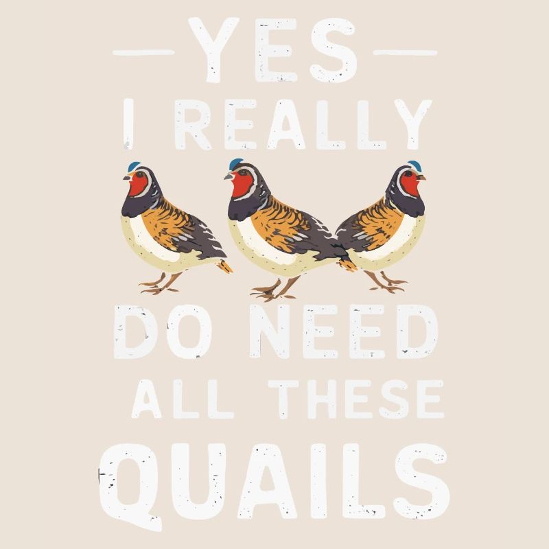 Quail Bird Quails