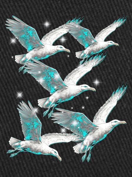 Maritime, Seagulls, Seagulls, Seabirds