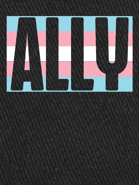 Transgender Trans LGBT Pride