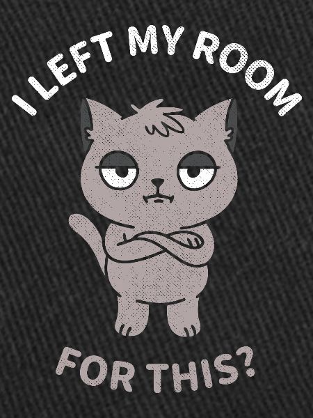 J’ai quitté ma chambre pour ça ?