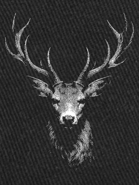roe deer