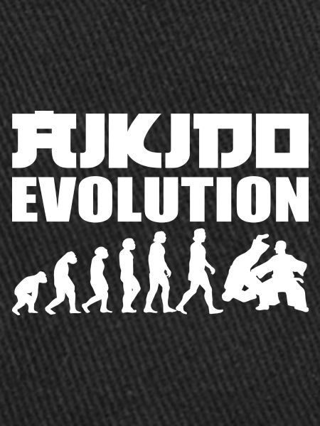 Aikido Evolution Aikido-Lehrer