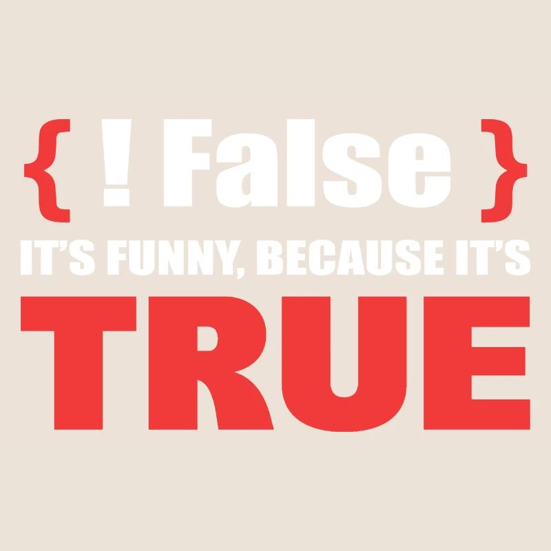 False It's Funny Because It's True Programmierer