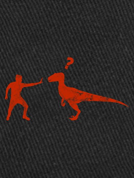 Velociraptor Dinosaurs