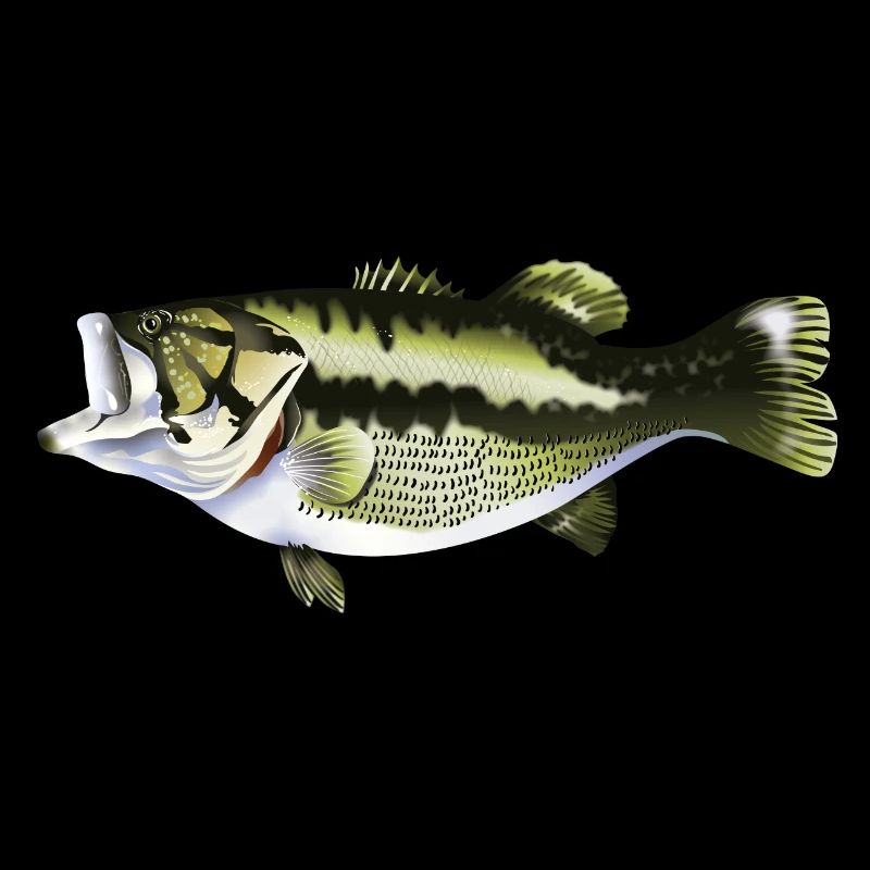 fishing predatory fish pikeperch perch pike